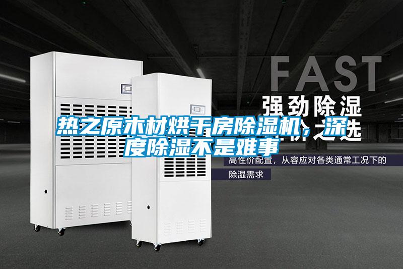 熱之原木材烘干房除濕機(jī)，深度除濕不是難事