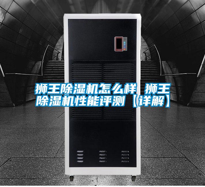 獅王除濕機(jī)怎么樣 獅王除濕機(jī)性能評(píng)測【詳解】