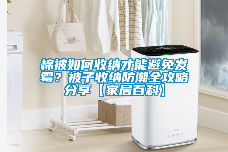 棉被如何收納才能避免發霉？被子收納防潮全攻略分享【家居百科】