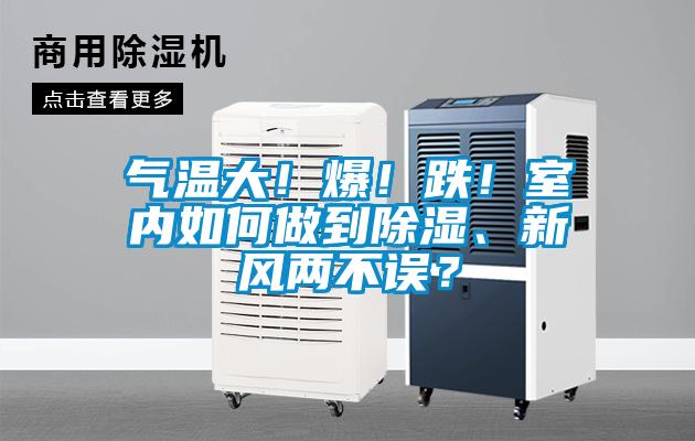 氣溫大！爆！跌！室內如何做到除濕、新風兩不誤？