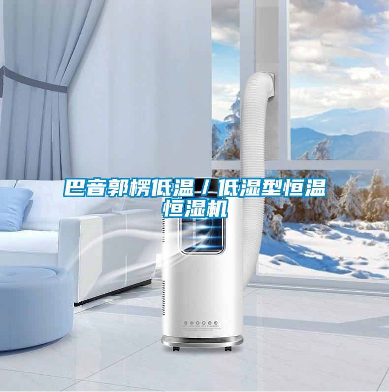 巴音郭楞低溫／低濕型恒溫恒濕機(jī)