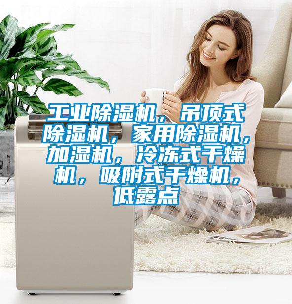 工業(yè)除濕機(jī)，吊頂式除濕機(jī)，家用除濕機(jī)，加濕機(jī)，冷凍式干燥機(jī)，吸附式干燥機(jī)，低露點(diǎn)