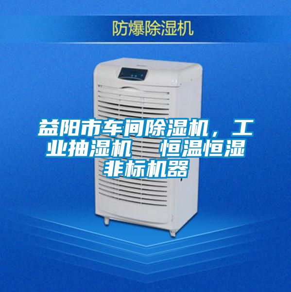 益陽市車間除濕機(jī)，工業(yè)抽濕機(jī)  恒溫恒濕非標(biāo)機(jī)器
