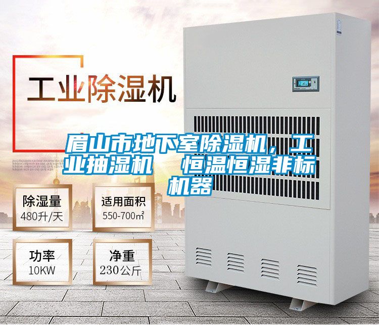 眉山市地下室除濕機，工業(yè)抽濕機  恒溫恒濕非標(biāo)機器