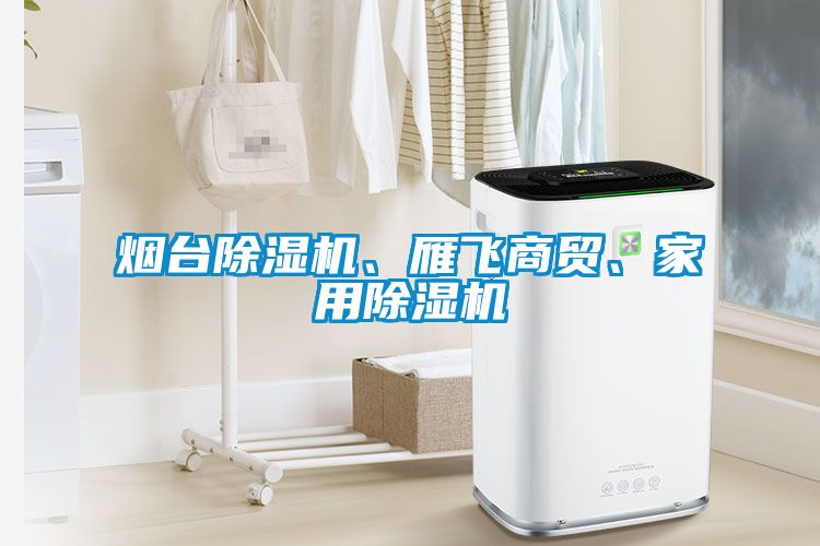 煙臺除濕機、雁飛商貿(mào)、家用除濕機