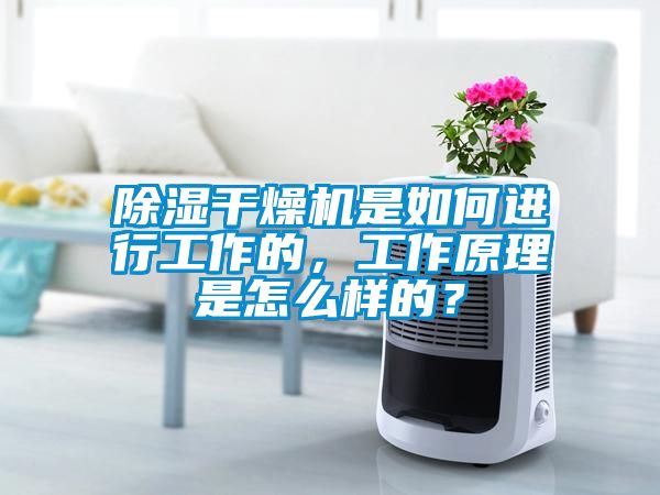 除濕干燥機是如何進行工作的，工作原理是怎么樣的？
