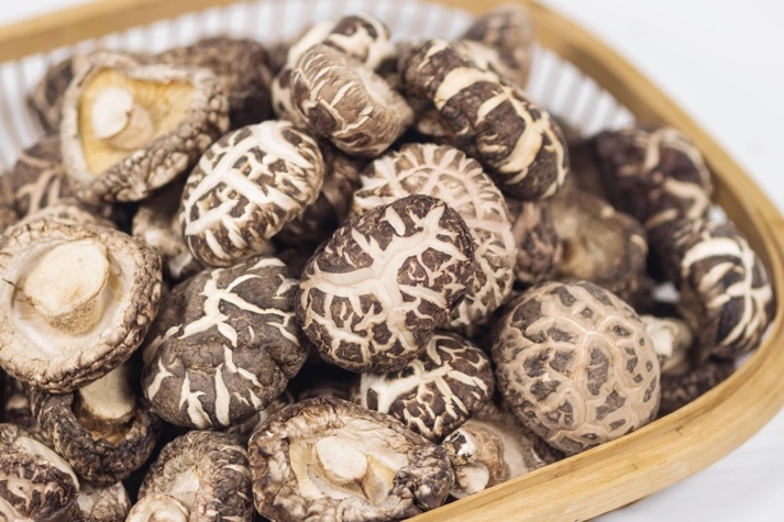 干貨倉庫怎么利用除濕機(jī)保持干爽？