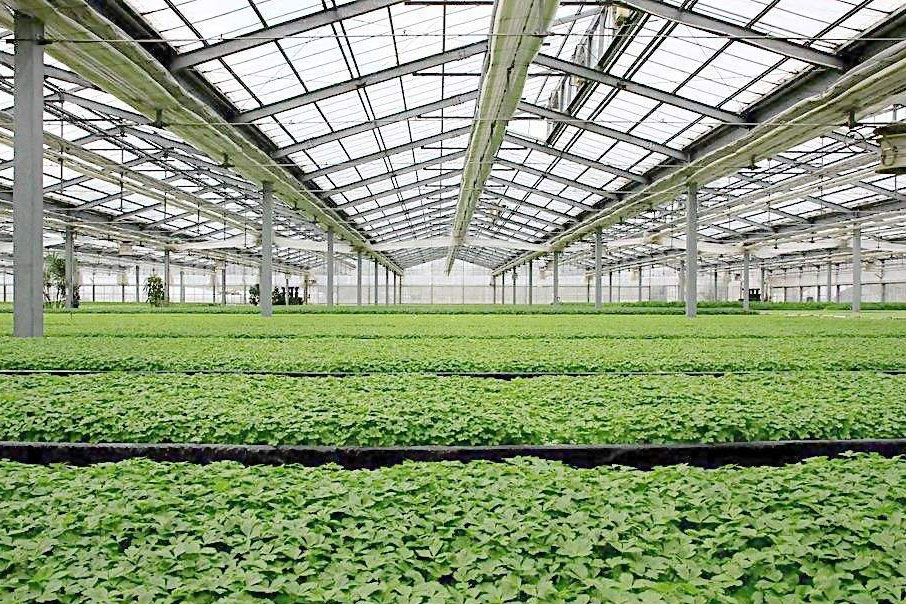 除濕器如何解決高濕度、多種危害的溫室除濕問題？